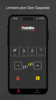 PedalBox Pro per App und FB steuerbar
